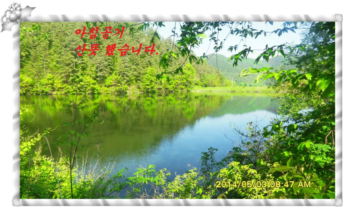 SDC14684.jpg