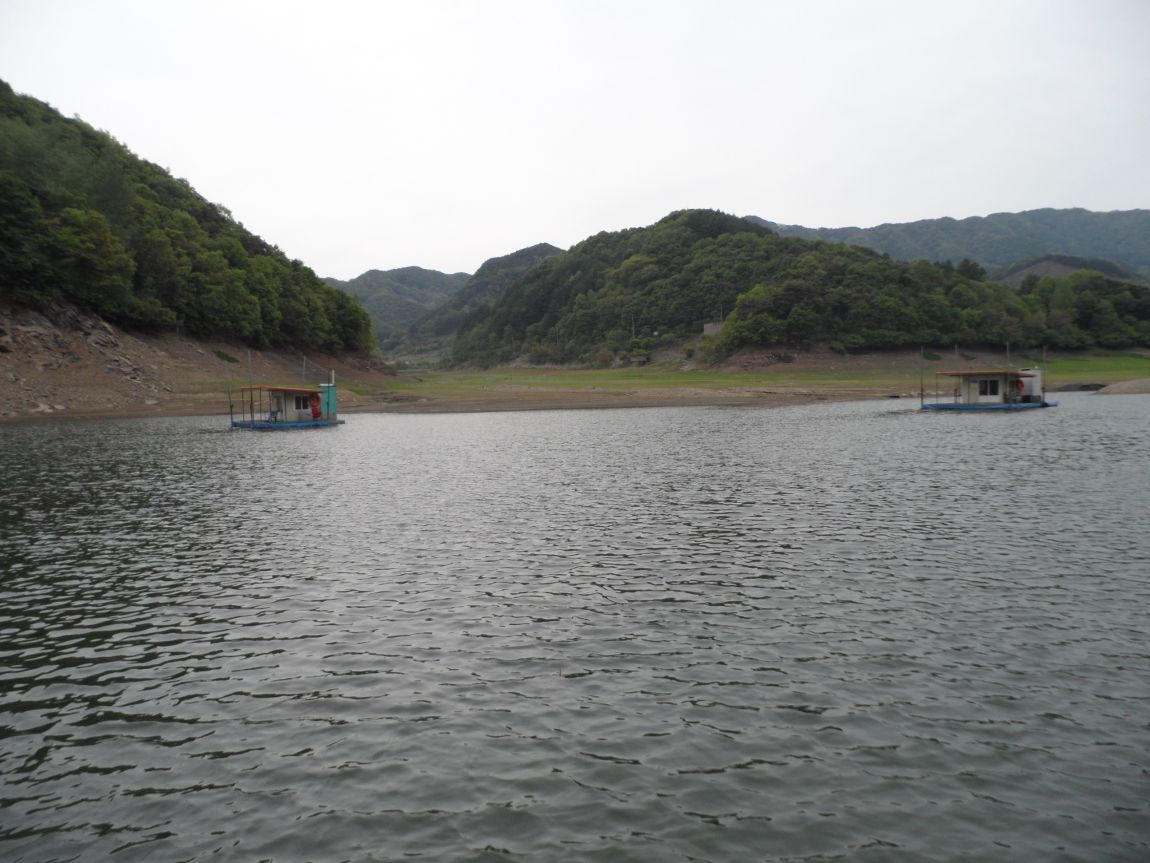 SAM_0958.JPG