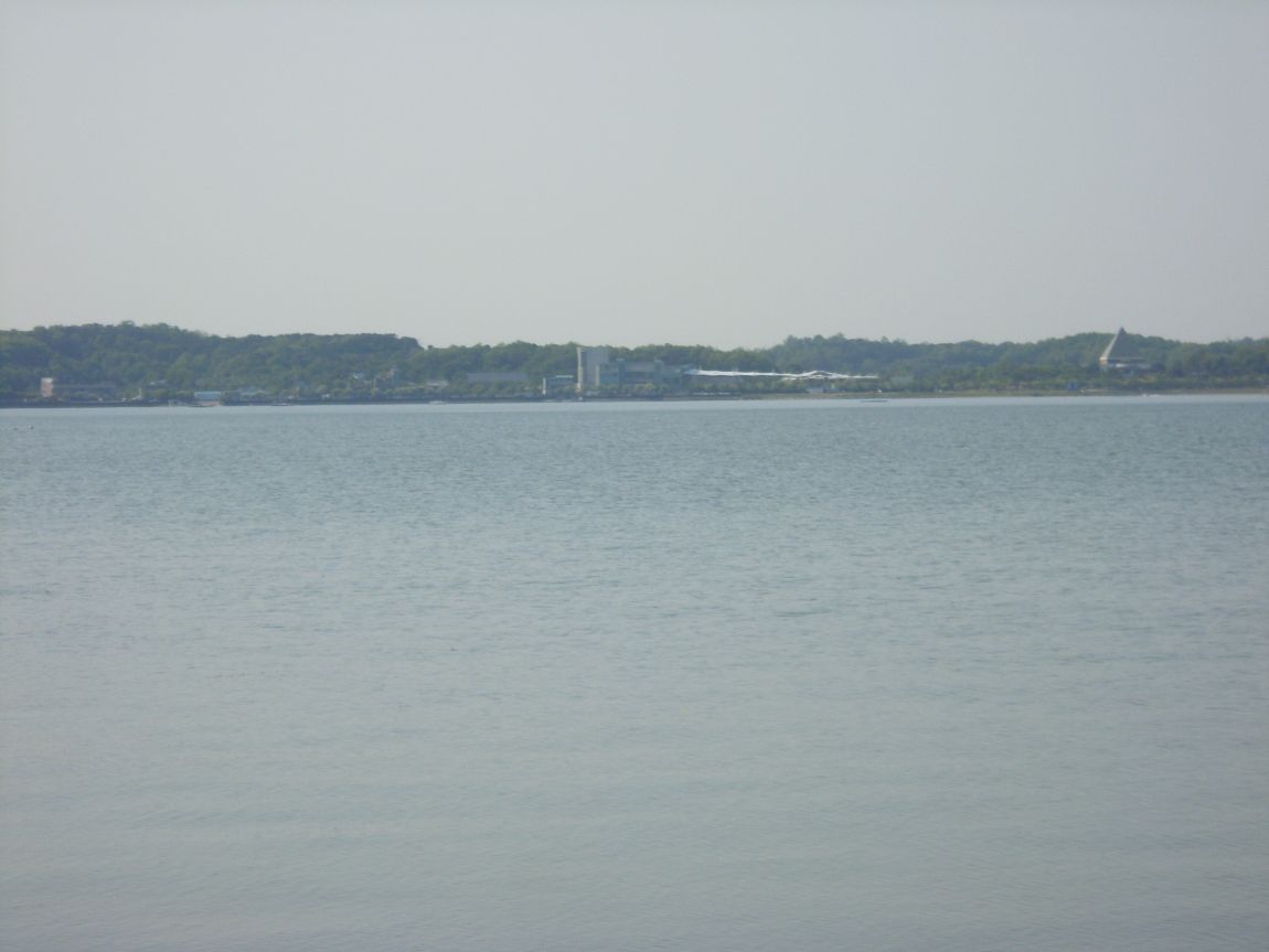 SL381019.JPG