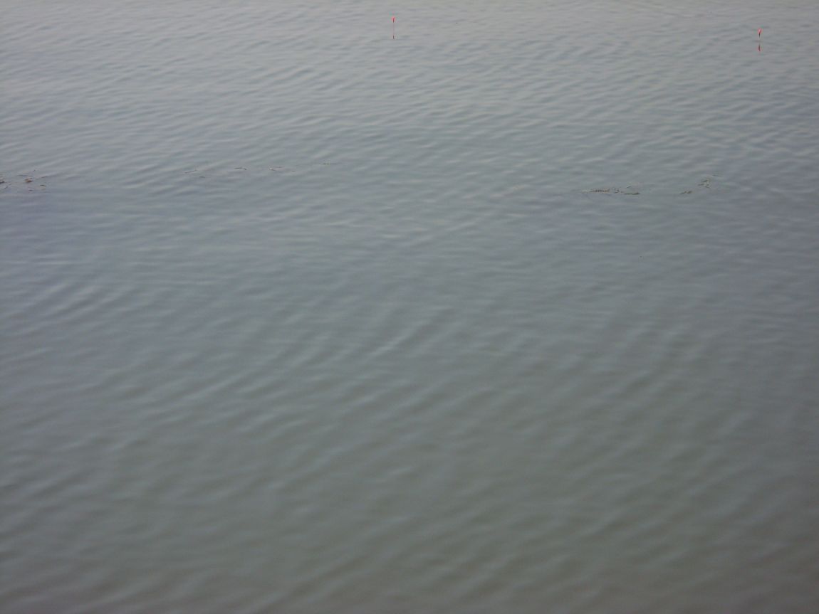 SL381020.JPG