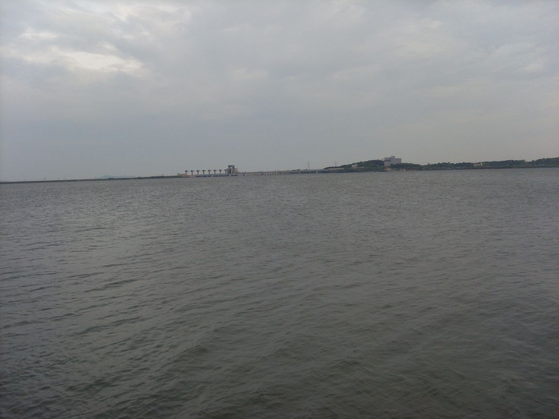 SL381028.JPG