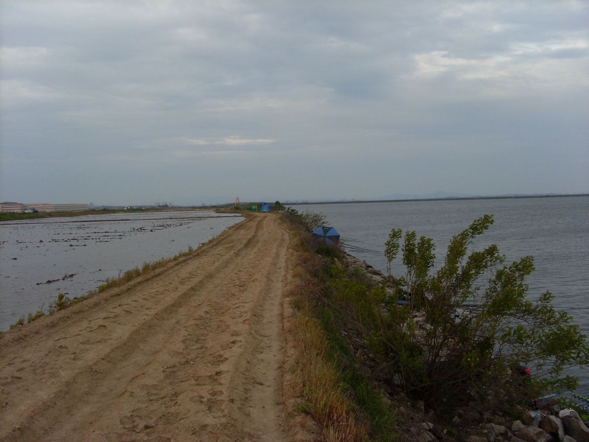 SL381030.JPG