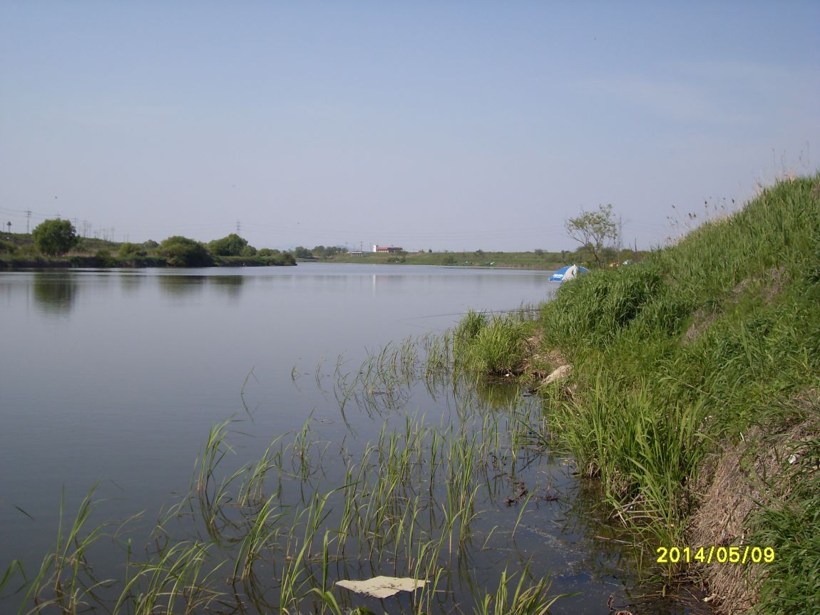 SDC13718.JPG