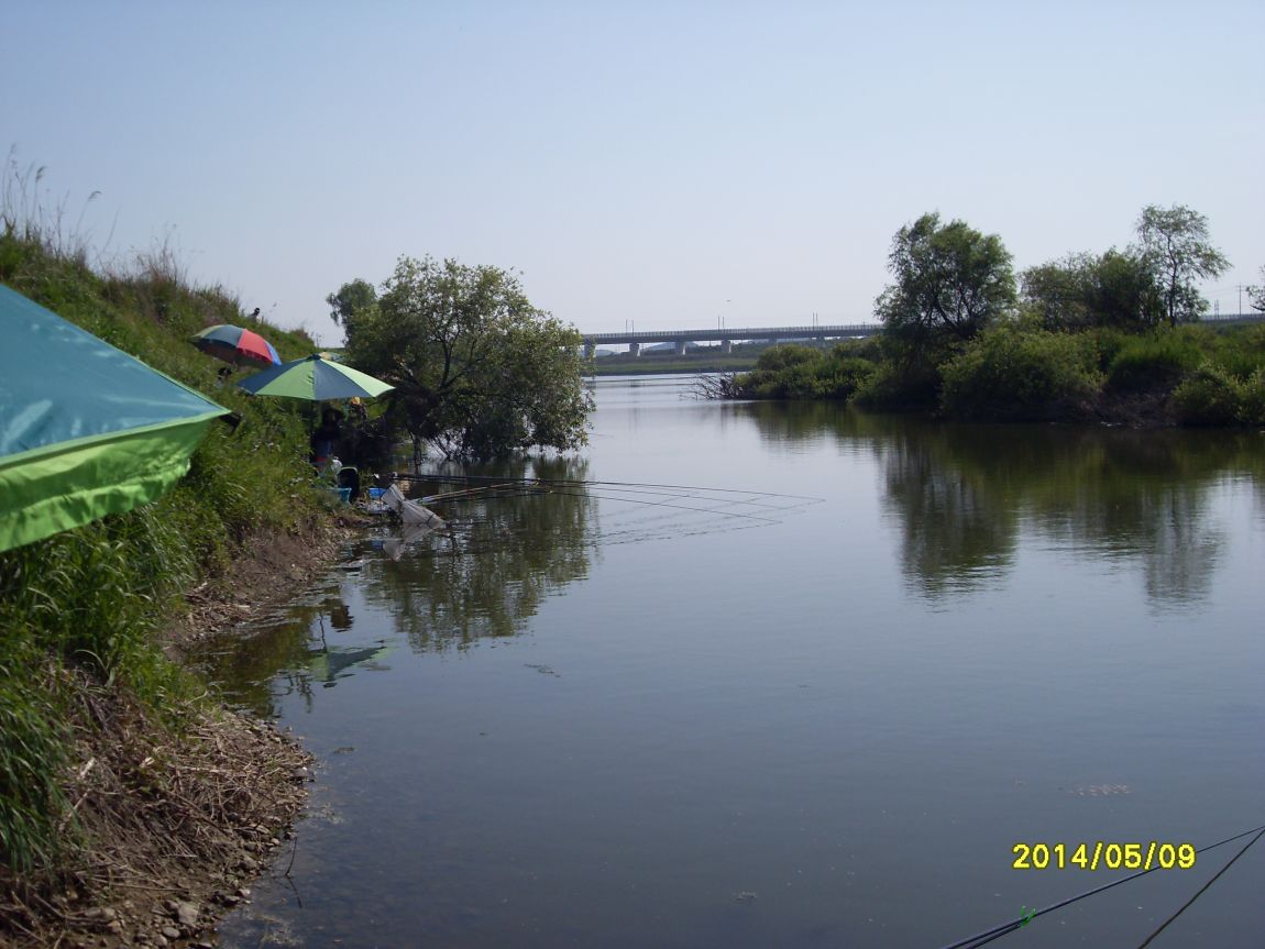 SDC13719.JPG
