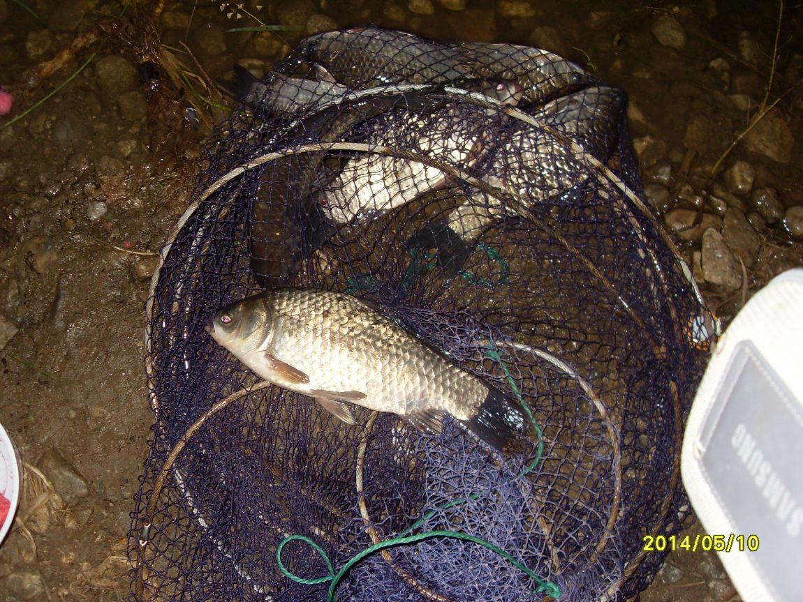 SDC13741.JPG