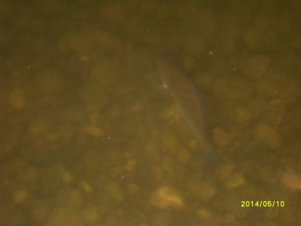 SDC13742.JPG