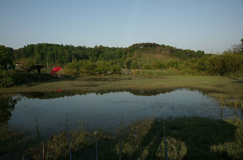 DSC07684_view.jpg