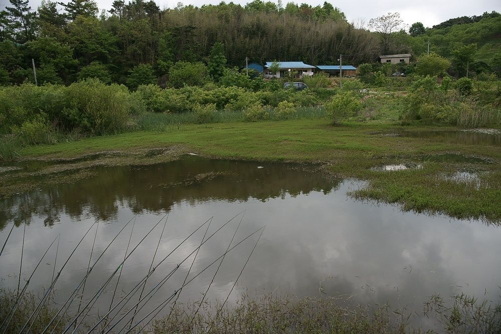 DSC07452_view.jpg