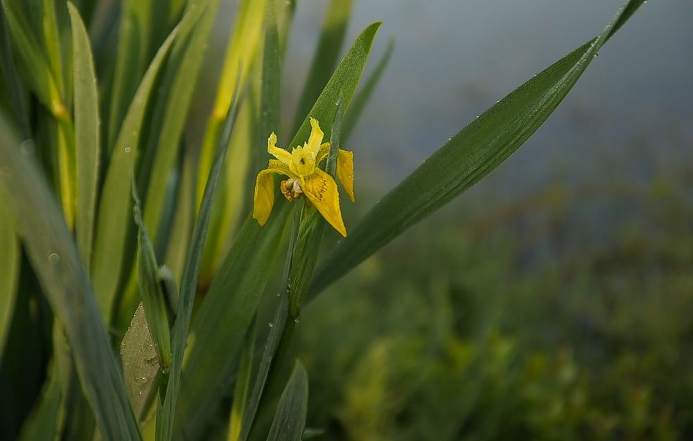 DSC07710_view.jpg
