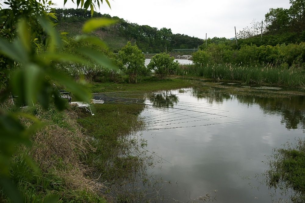 DSC07444_view.jpg