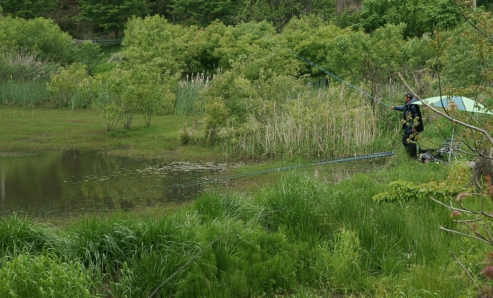 DSC07508_view.jpg