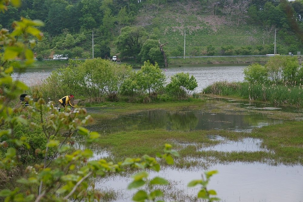 DSC07502_view.jpg