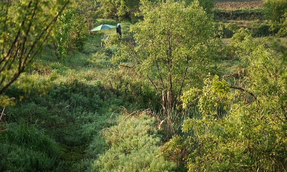 DSC07667_view.jpg