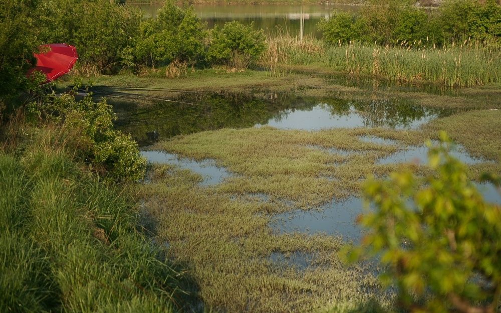 DSC07698_view.jpg