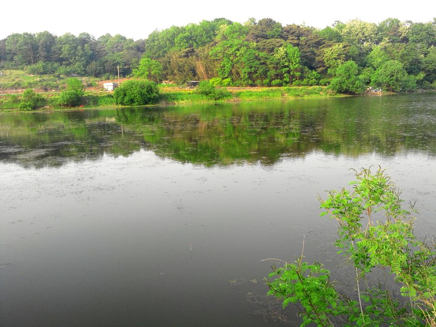 2014-05-17 17.54.56.jpg