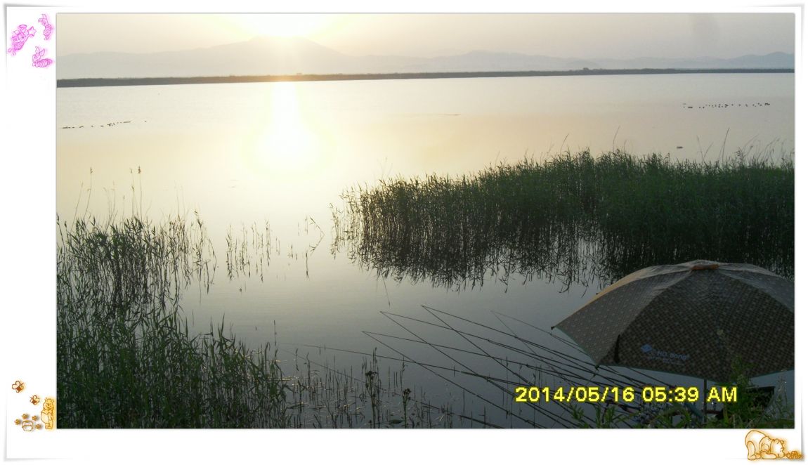 SDC14917.jpg