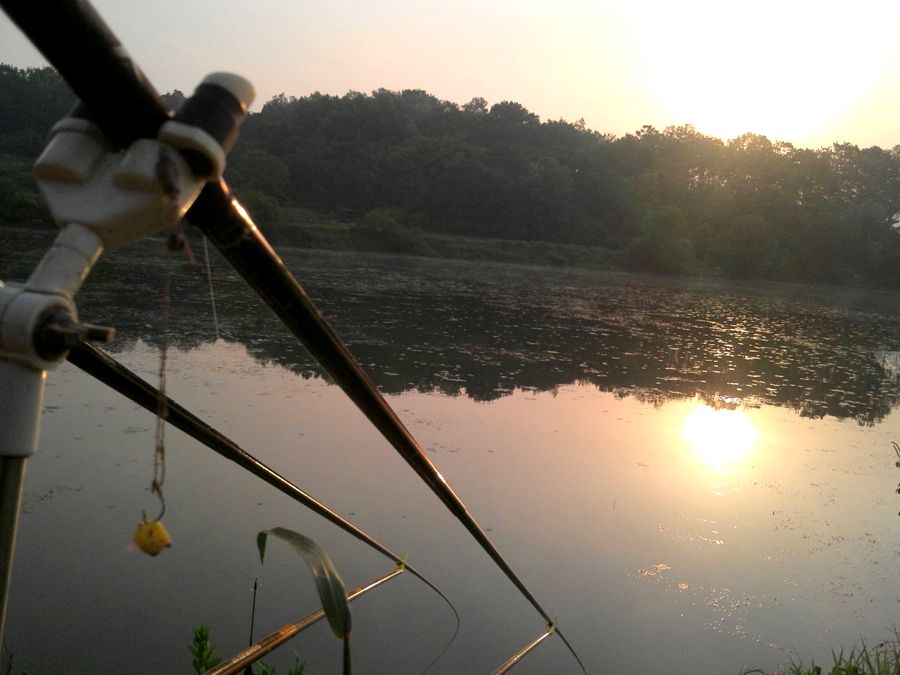 2014-05-18 06.25.47.jpg