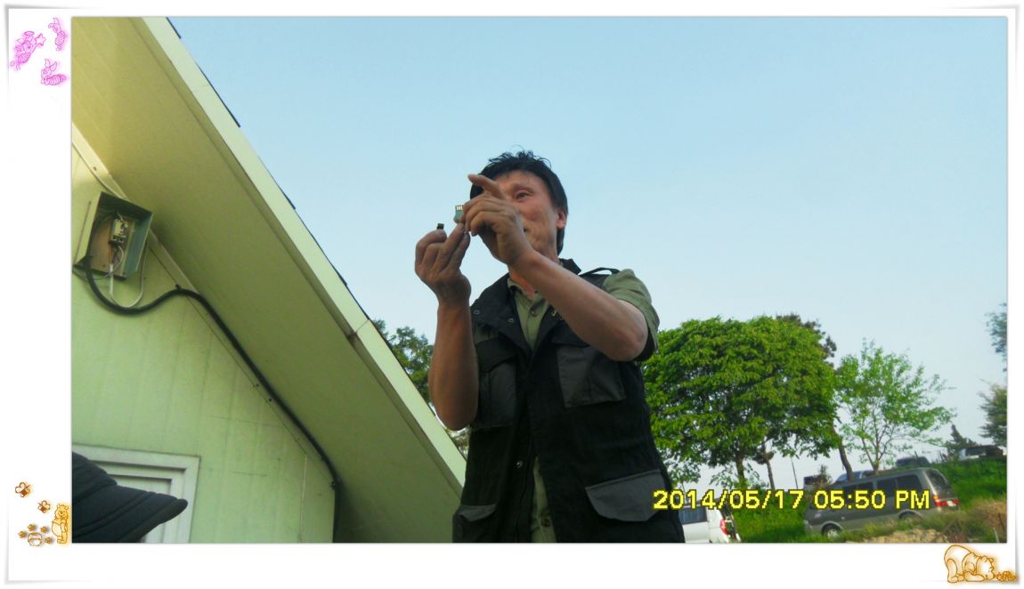 SDC14965.jpg
