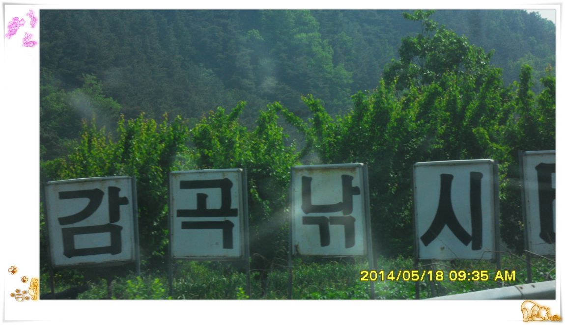 SDC14985.jpg