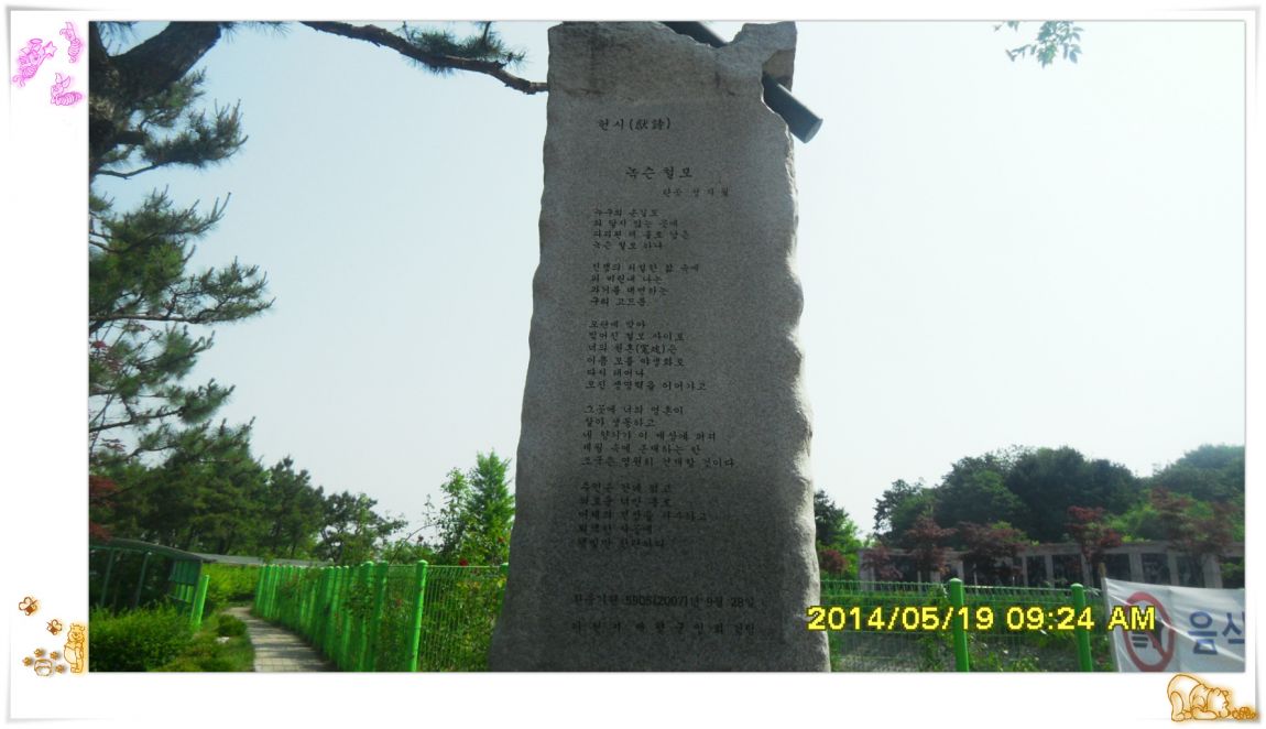 SDC15001.jpg