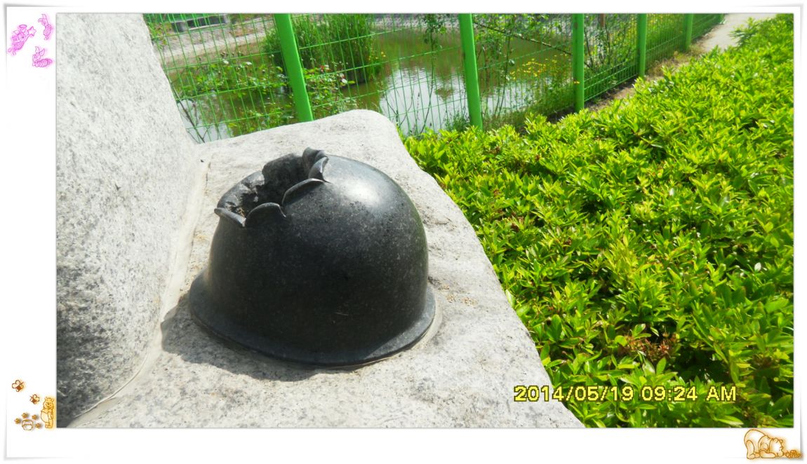 SDC15002.jpg