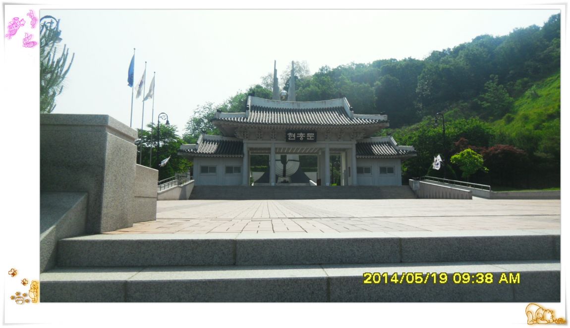 SDC15004.jpg