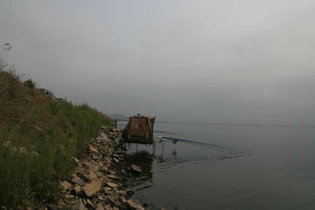 ٹ̱_IMG_2388.JPG