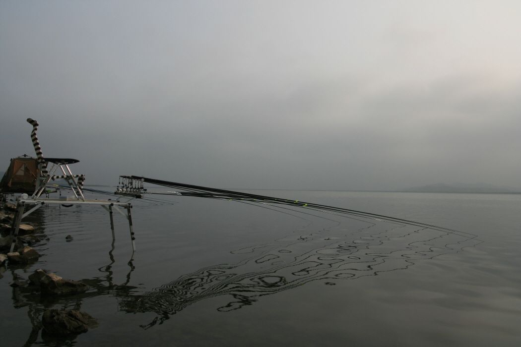 ٹ̱_IMG_2398.JPG