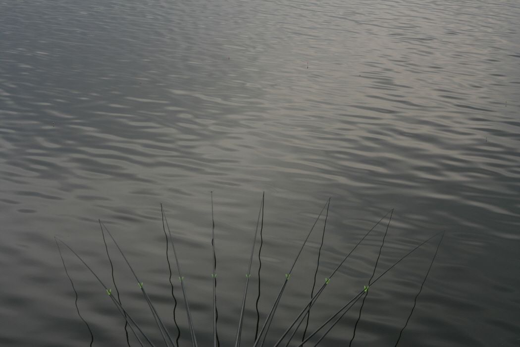 ٹ̱_IMG_2422.JPG