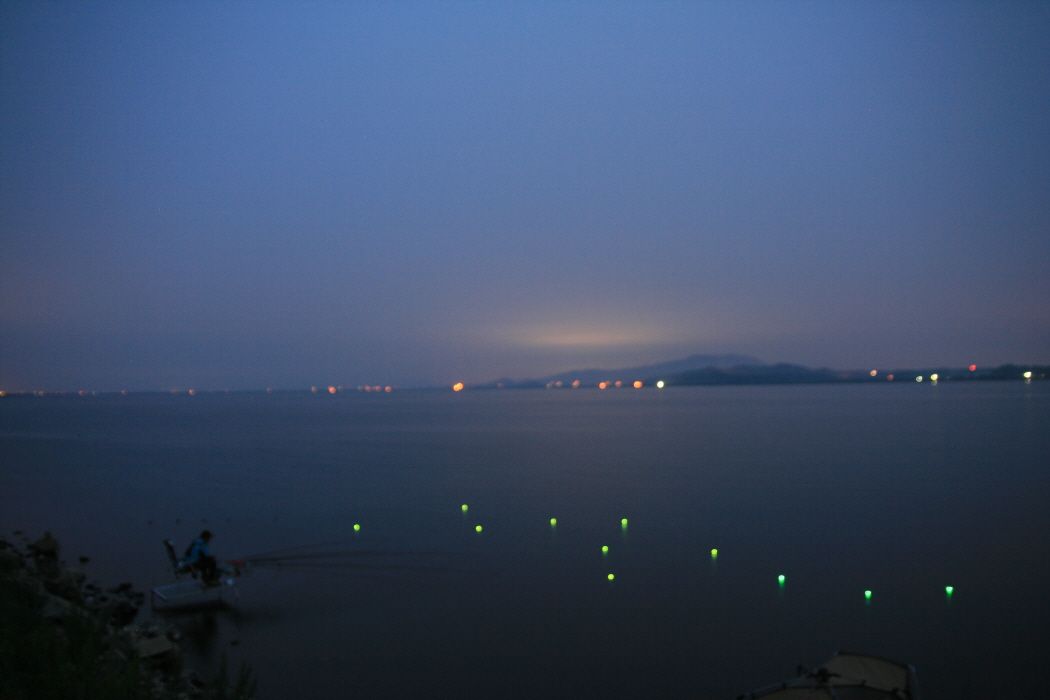 ٹ̱_IMG_2459.JPG
