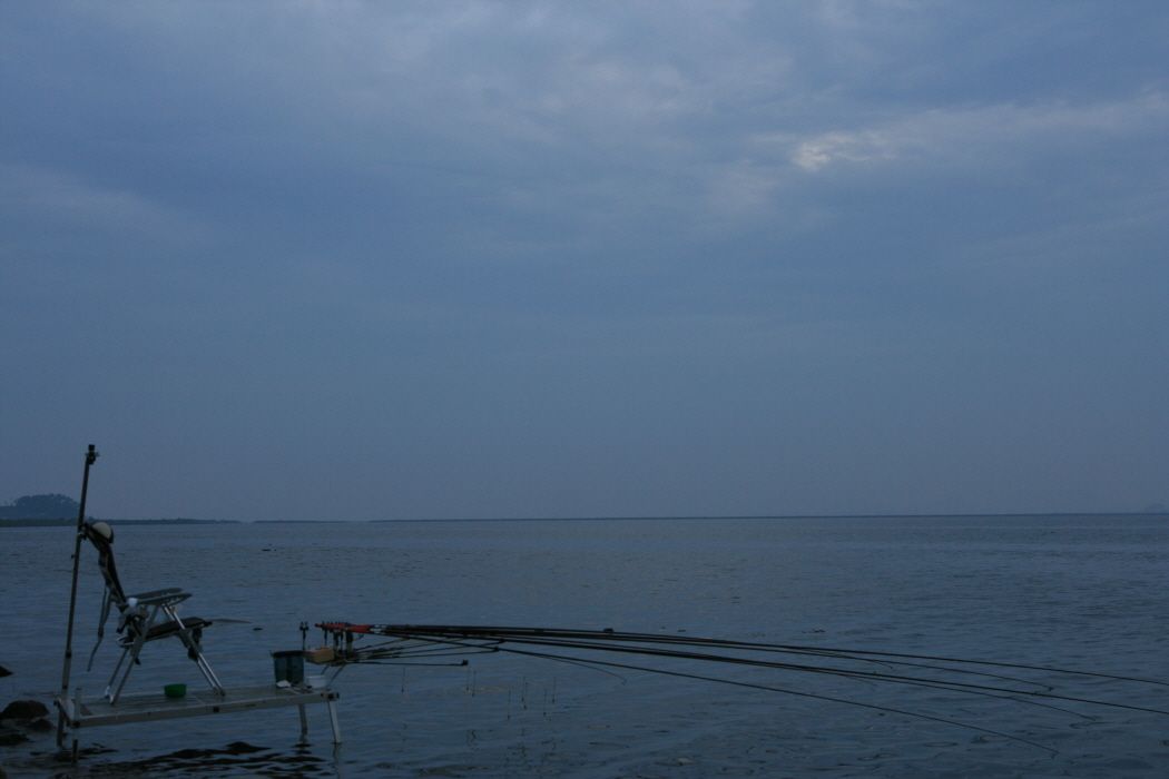 ٹ̱_IMG_2485.JPG
