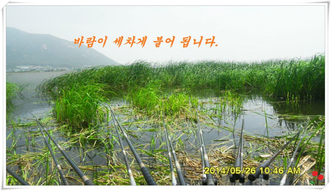 �ٹ̱�_SDC15055.jpg