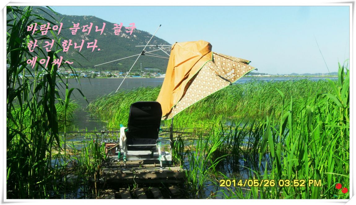 �ٹ̱�_SDC15066.jpg