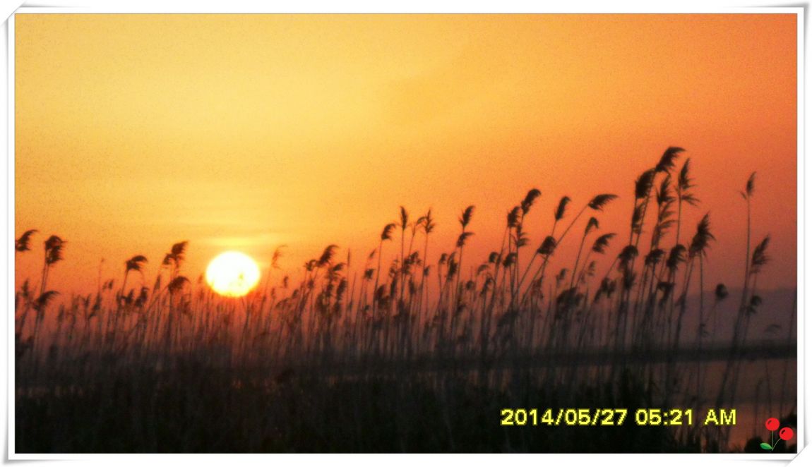 �ٹ̱�_SDC15076.jpg