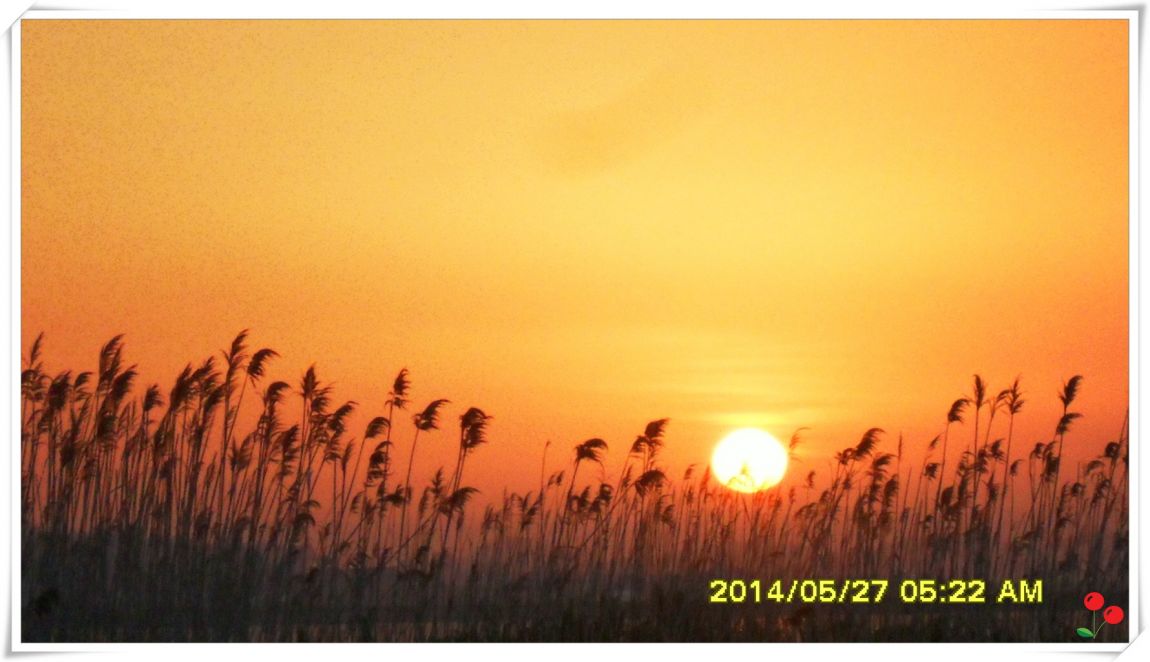 �ٹ̱�_SDC15077.jpg