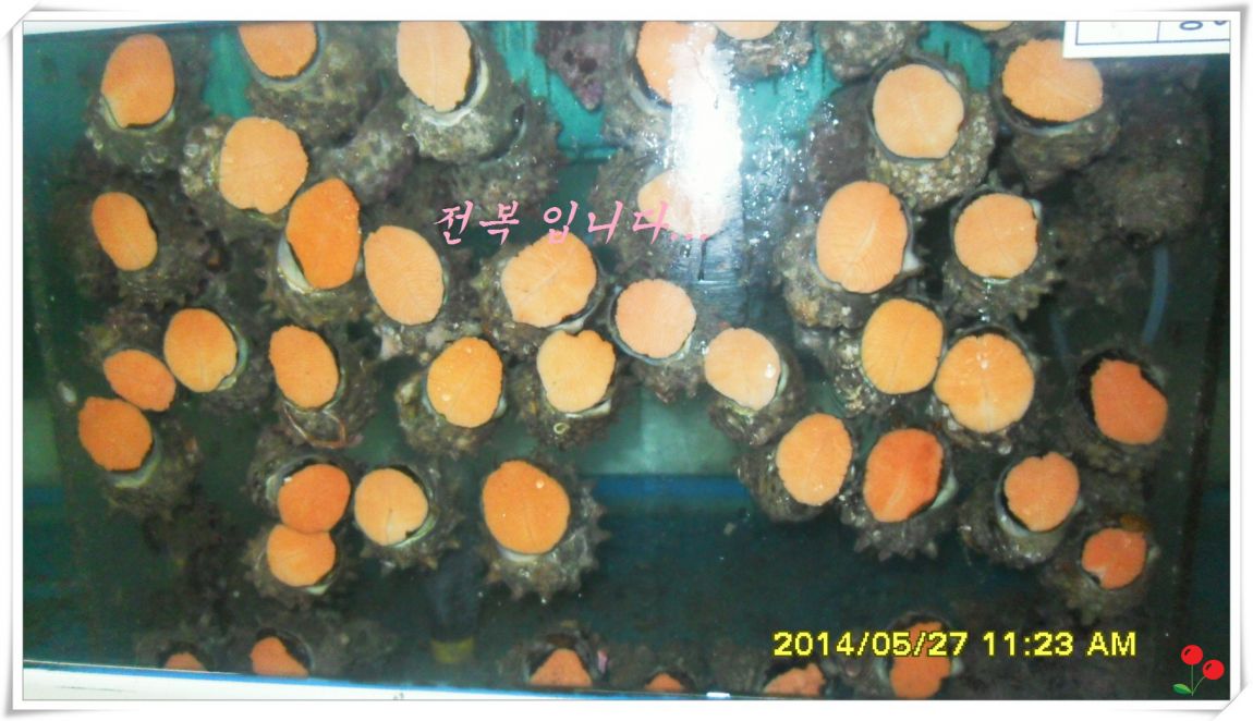 �ٹ̱�_SDC15092.jpg