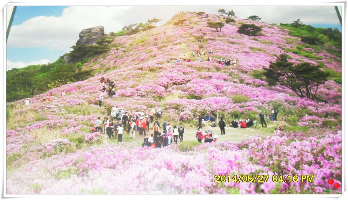 �ٹ̱�_SDC15129.jpg