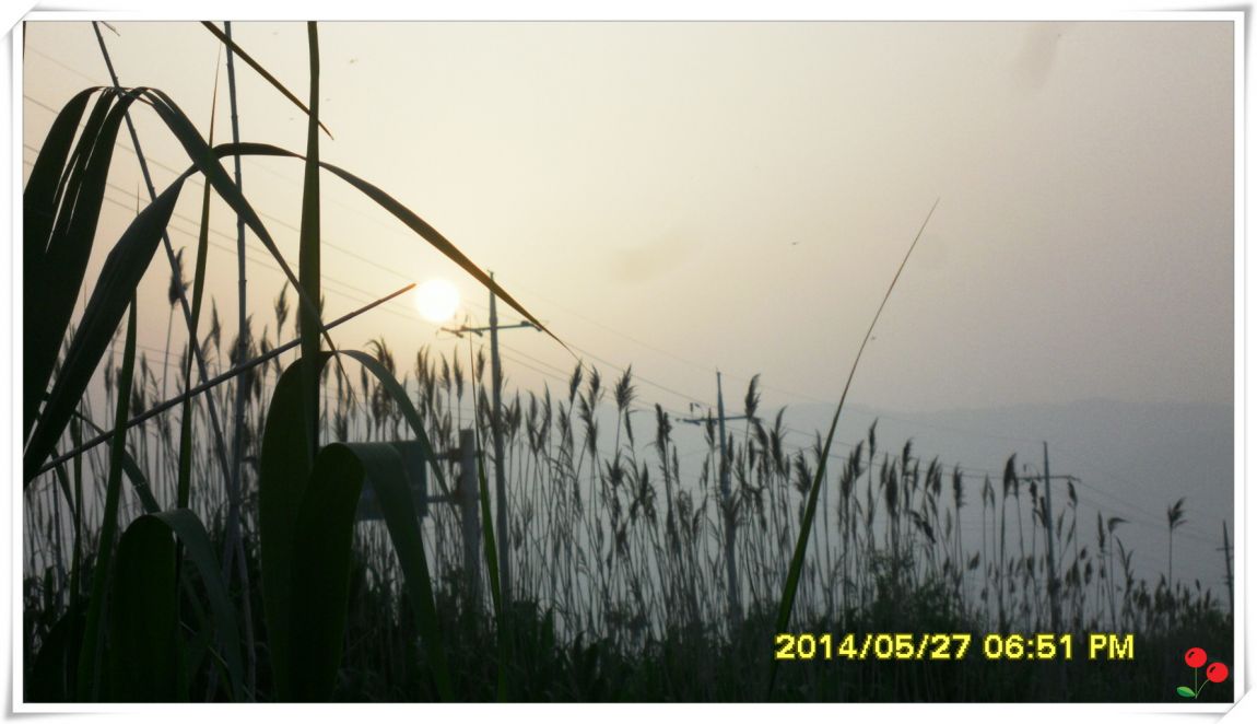 �ٹ̱�_SDC15134.jpg