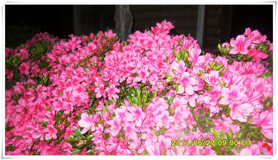 �ٹ̱�_SDC15143.jpg