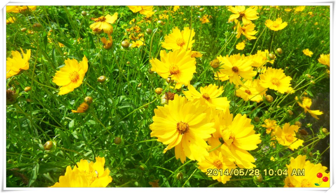 �ٹ̱�_SDC15156.jpg