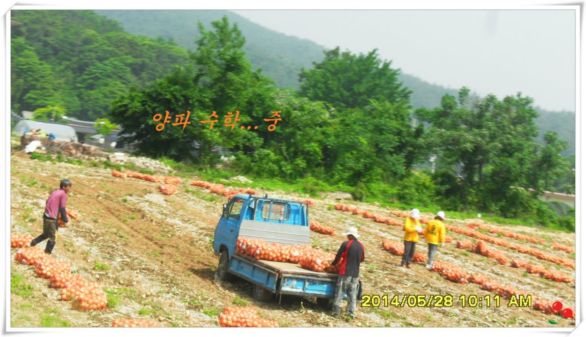 �ٹ̱�_SDC15158.jpg
