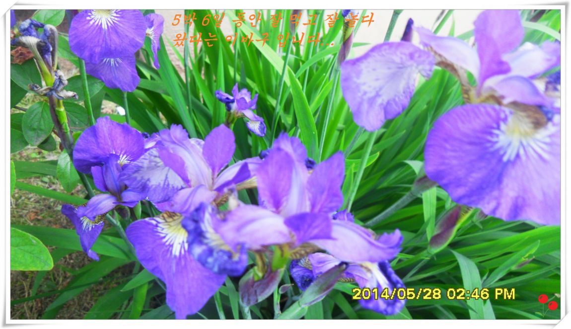 �ٹ̱�_SDC15169.jpg