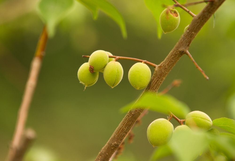 �ٹ̱�_DSC09256.jpg