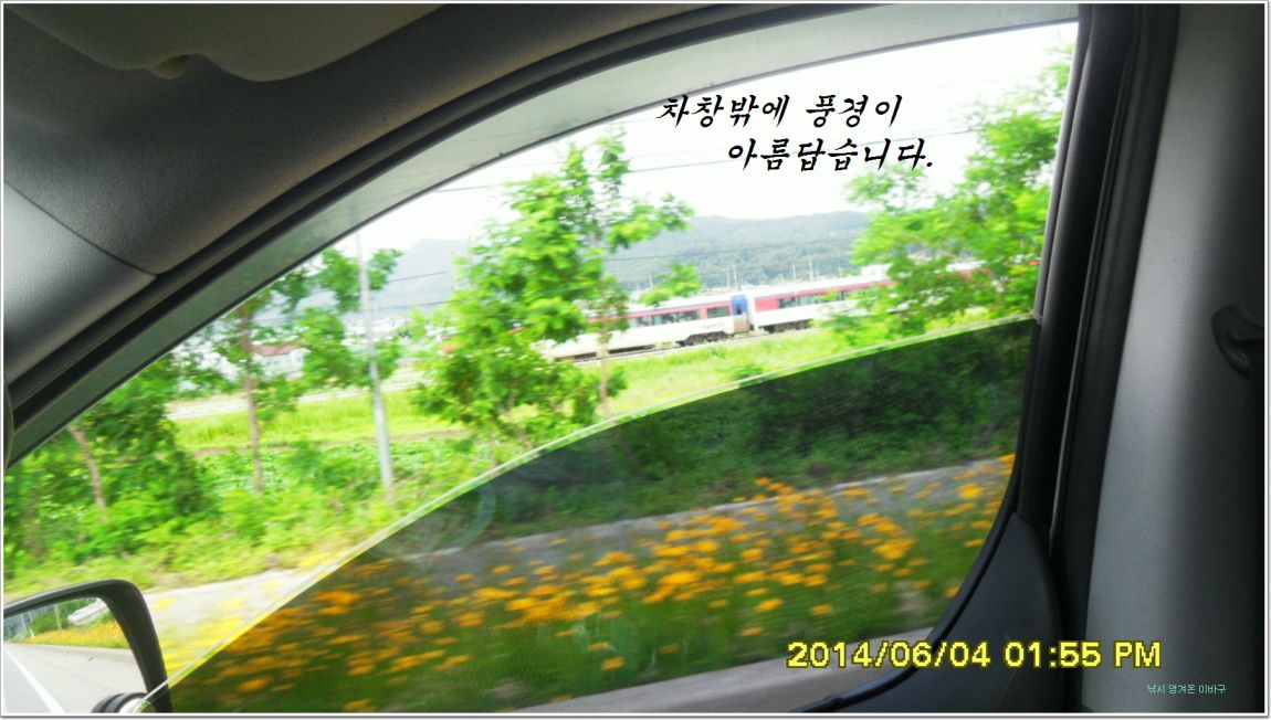 ٹ̱_SDC15173.jpg