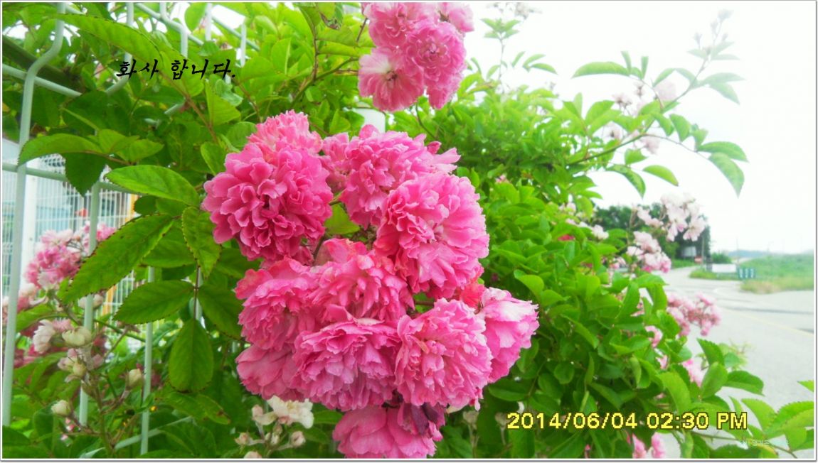 ٹ̱_SDC15187.jpg