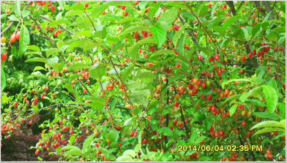 ٹ̱_SDC15189.jpg