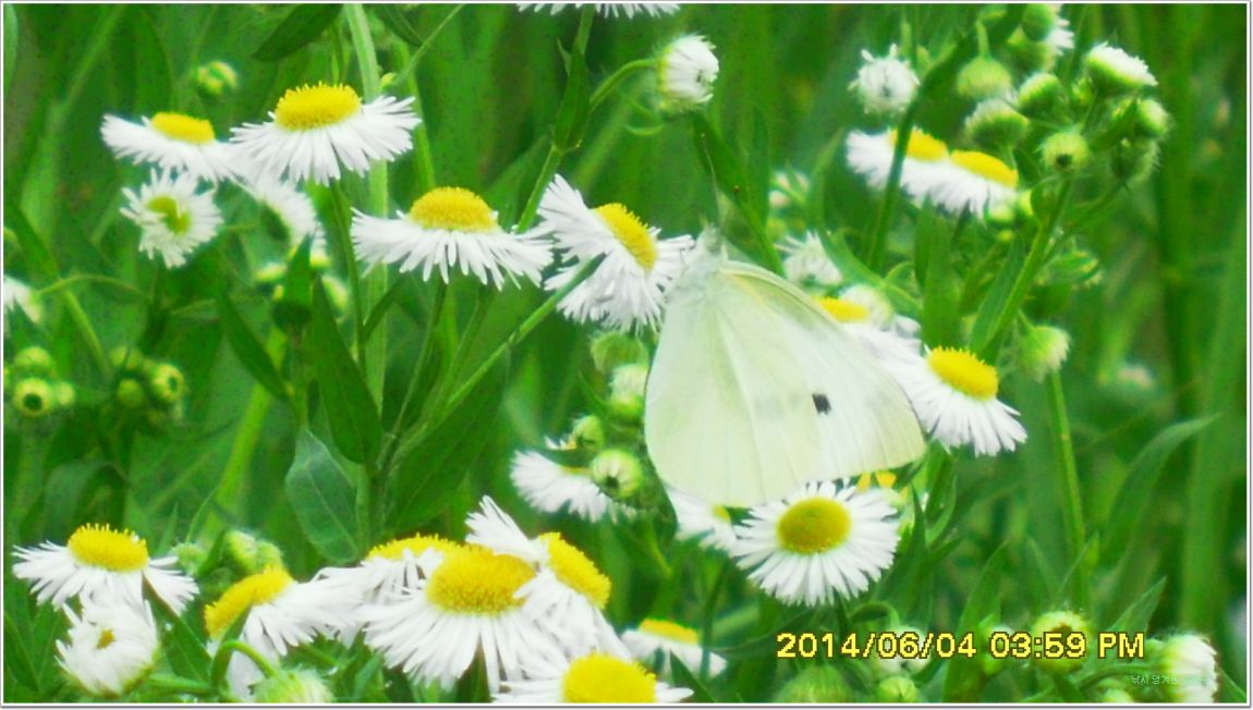 ٹ̱_SDC15192.jpg