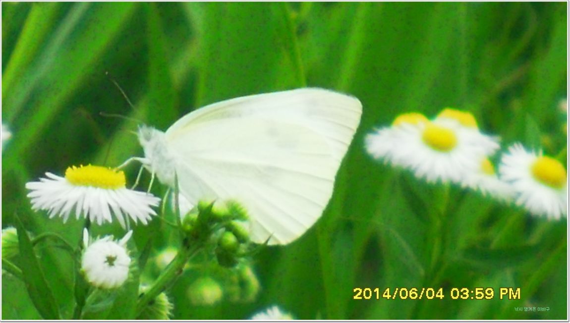 ٹ̱_SDC15193.jpg
