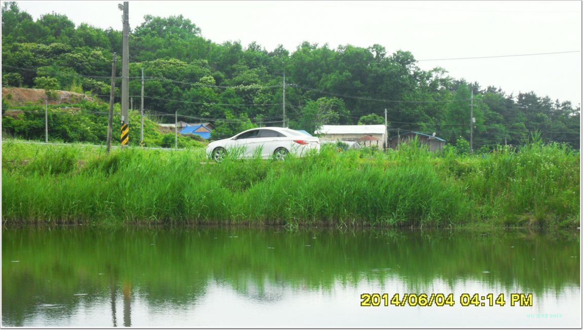 ٹ̱_SDC15196.jpg