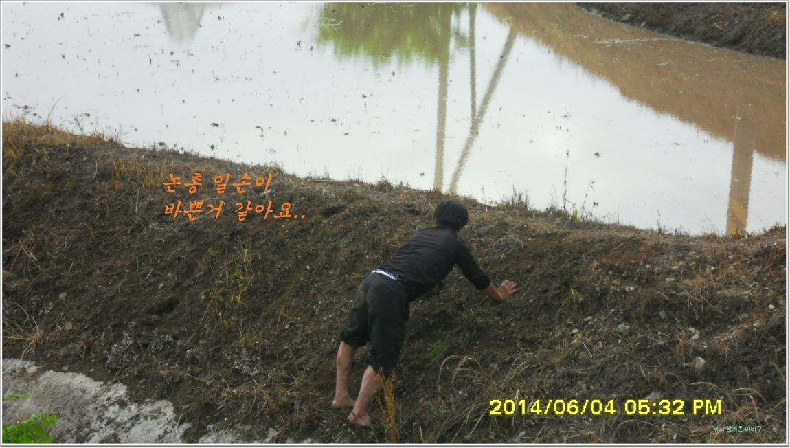ٹ̱_SDC15209.jpg